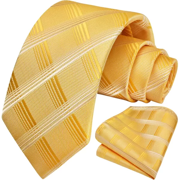 HISDERN Ties for Men Plaid Checkered Tie with Pocket Square Woven Business Formal Necktie Handkerchief Set Wedding Party