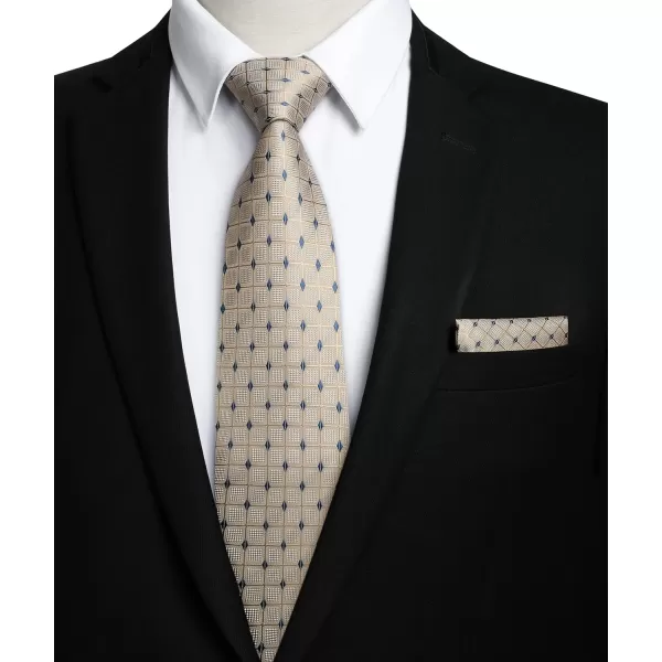 HISDERN Ties for Men Plaid Checkered Tie with Pocket Square Woven Business Formal Necktie Handkerchief Set Wedding Party