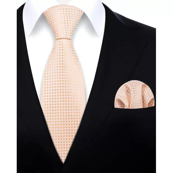 HISDERN Ties for Men Polka Dot Tie Handkerchief Set Classic Woven Silk Business Solid Mens Ties Necktie Wedding Party