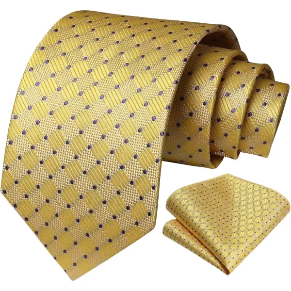 HISDERN Ties for Men Silk Extra Long Tie and Pocket Square Classic Plaid Checkered 63 inches Men's Neckties Business