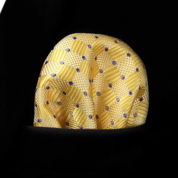 HISDERN Ties for Men Silk Extra Long Tie and Pocket Square Classic Plaid Checkered 63 inches Men's Neckties Business