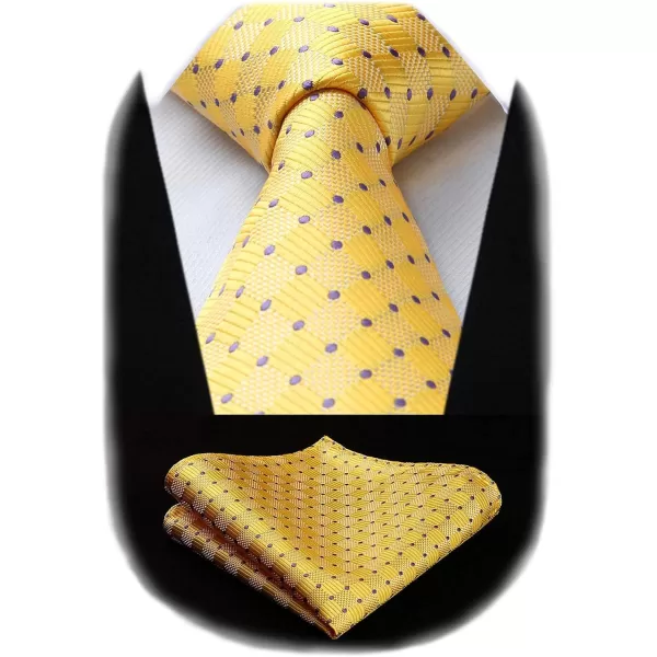 HISDERN Ties for Men Silk Extra Long Tie and Pocket Square Classic Plaid Checkered 63 inches Men's Neckties Business
