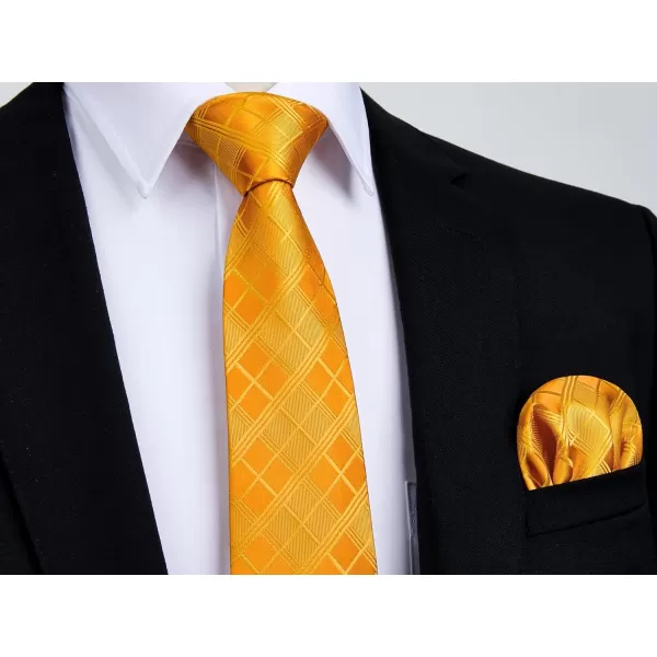 HISDERN Ties for Men Silk Extra Long Tie and Pocket Square Classic Plaid Checkered 63 inches Men's Neckties Business