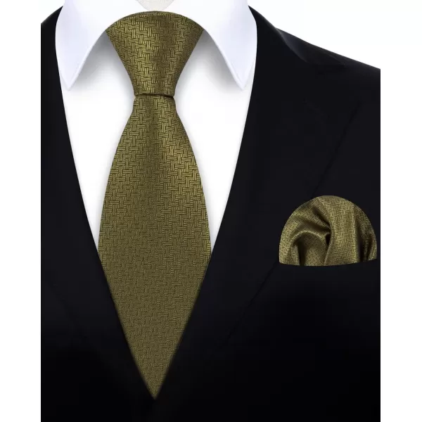 HISDERN Ties for Men Silk Extra Long Tie and Pocket Square Classic Plaid Checkered 63 inches Men's Neckties Business