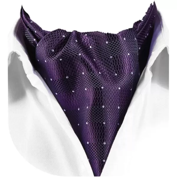 HISDERN Ascot Tie Mens Cravat Ties Floral Paisley Polka Dot Jacquard Self Ascots Cravat Scarf Wedding Party