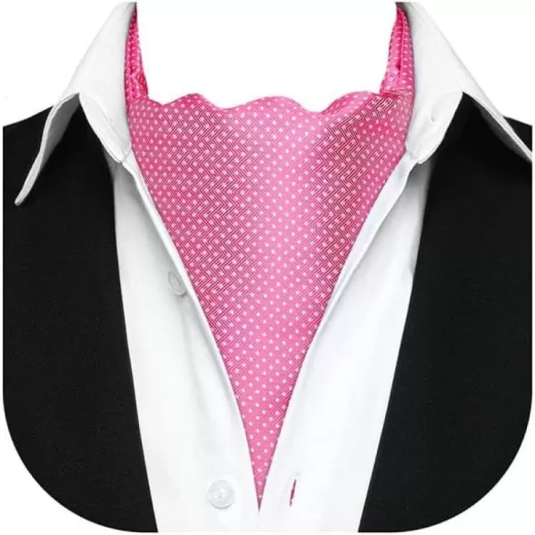 HISDERN Ascot Tie Mens Cravat Ties Floral Paisley Polka Dot Jacquard Self Ascots Cravat Scarf Wedding Party