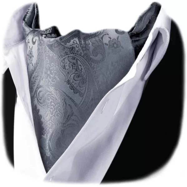 HISDERN Ascot Tie Mens Cravat Ties Floral Paisley Polka Dot Jacquard Self Ascots Cravat Scarf Wedding Party