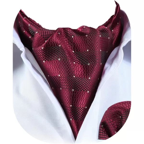 HISDERN Ascot Ties for Men Paisley Cravat Tie and Pocket Square Set Floral Mens Ascot Scarf Handkerchief Wedding Party