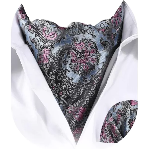 HISDERN Ascot Ties for Men Paisley Cravat Tie and Pocket Square Set Floral Mens Ascot Scarf Handkerchief Wedding Party