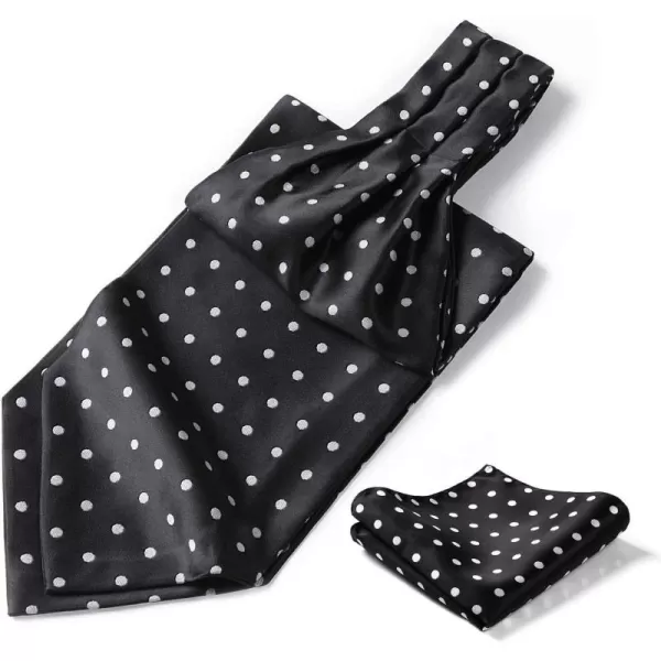 HISDERN Ascot Ties for Men Paisley Cravat Tie and Pocket Square Set Floral Mens Ascot Scarf Handkerchief Wedding Party