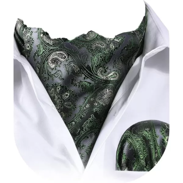 HISDERN Ascot Ties for Men Paisley Cravat Tie and Pocket Square Set Floral Mens Ascot Scarf Handkerchief Wedding Party