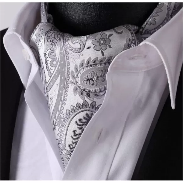 HISDERN Ascot Ties for Men Paisley Cravat Tie and Pocket Square Set Floral Mens Ascot Scarf Handkerchief Wedding Party