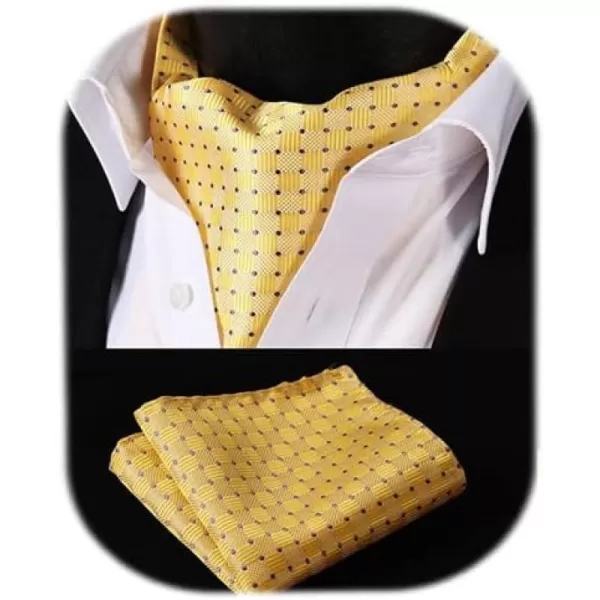 HISDERN Ascot Ties for Men Paisley Cravat Tie and Pocket Square Set Floral Mens Ascot Scarf Handkerchief Wedding Party
