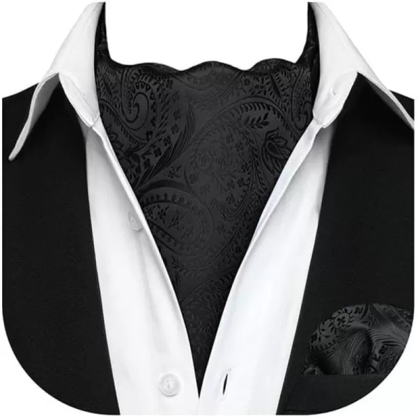 HISDERN Ascot Ties for Men Paisley Cravat Tie and Pocket Square Set Floral Mens Ascot Scarf Handkerchief Wedding Party