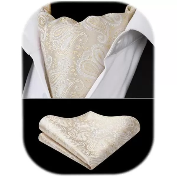HISDERN Ascot Ties for Men Paisley Cravat Tie and Pocket Square Set Floral Mens Ascot Scarf Handkerchief Wedding Party