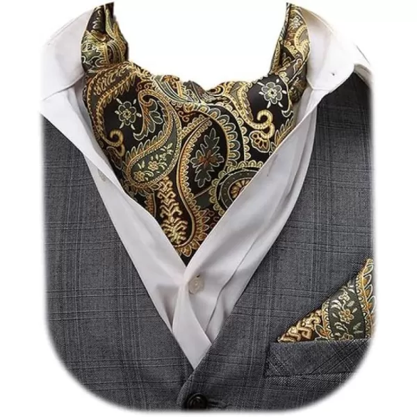HISDERN Ascot Ties for Men Paisley Cravat Tie and Pocket Square Set Floral Mens Ascot Scarf Handkerchief Wedding Party