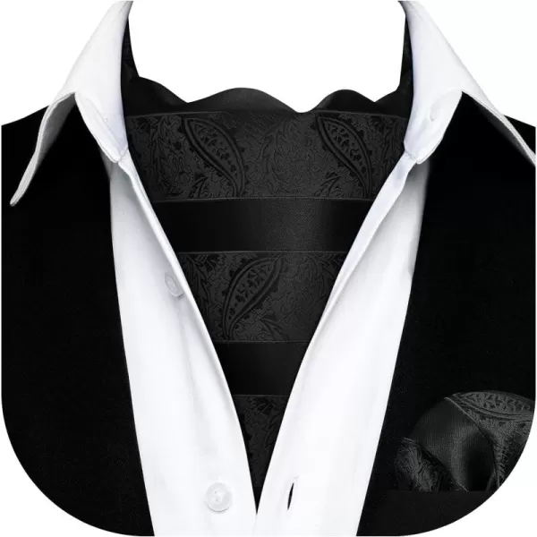 HISDERN Ascot Ties for Men Paisley Cravat Tie and Pocket Square Set Floral Mens Ascot Scarf Handkerchief Wedding Party