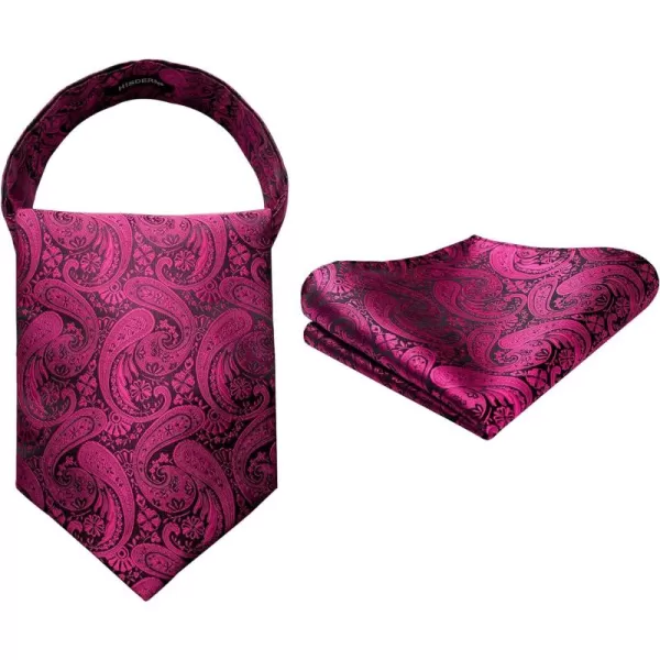 HISDERN Ascot Ties for Men Paisley Cravat Tie and Pocket Square Set Floral Mens Ascot Scarf Handkerchief Wedding Party