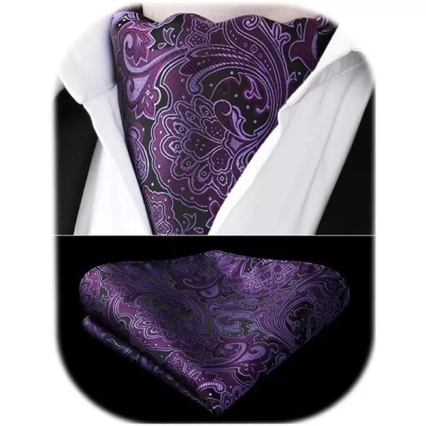 HISDERN Ascot Ties for Men Paisley Cravat Tie and Pocket Square Set Floral Mens Ascot Scarf Handkerchief Wedding Party