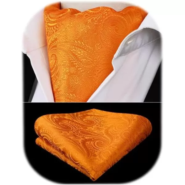 HISDERN Ascot Ties for Men Paisley Cravat Tie and Pocket Square Set Floral Mens Ascot Scarf Handkerchief Wedding Party