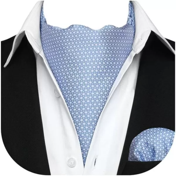 HISDERN Ascot Ties for Men Paisley Cravat Tie and Pocket Square Set Floral Mens Ascot Scarf Handkerchief Wedding Party