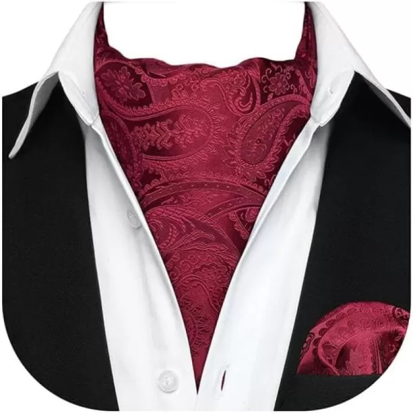 HISDERN Ascot Ties for Men Paisley Cravat Tie and Pocket Square Set Floral Mens Ascot Scarf Handkerchief Wedding Party