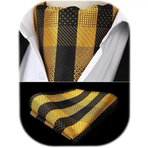 HISDERN Ascot Ties for Men Paisley Cravat Tie and Pocket Square Set Floral Mens Ascot Scarf Handkerchief Wedding Party