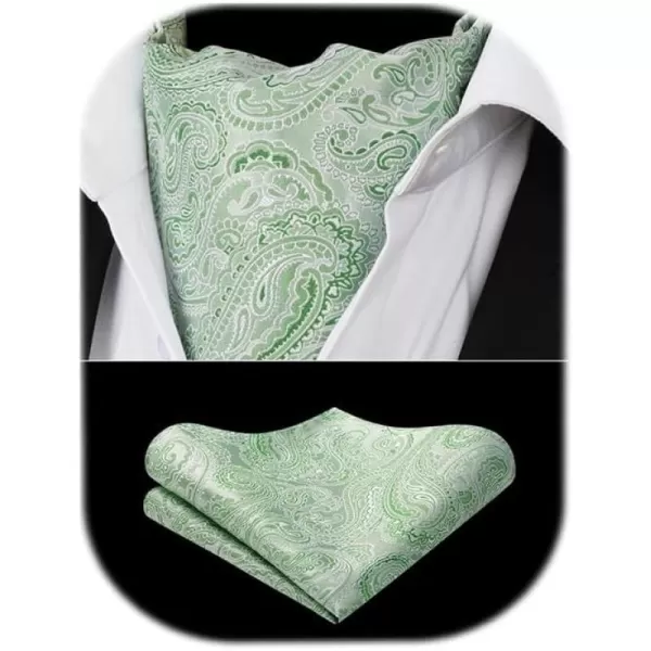 HISDERN Ascot Ties for Men Paisley Cravat Tie and Pocket Square Set Floral Mens Ascot Scarf Handkerchief Wedding Party