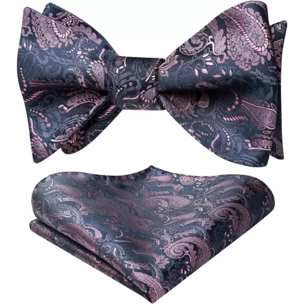 HISDERN Bow Ties for Men Paisley Bowties Mens Self Tie Bow Tie and Pocket Square Set Formal Tuxedo Wedding Bowtie