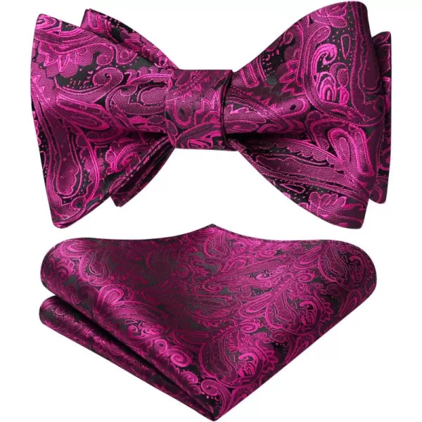 HISDERN Bow Ties for Men Paisley Bowties Mens Self Tie Bow Tie and Pocket Square Set Formal Tuxedo Wedding Bowtie