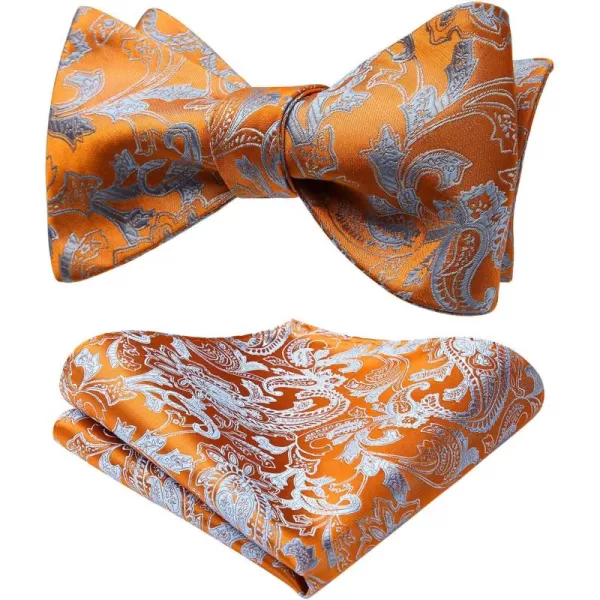 HISDERN Bow Ties for Men Paisley Bowties Mens Self Tie Bow Tie and Pocket Square Set Formal Tuxedo Wedding Bowtie