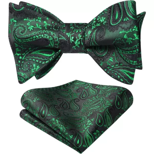 HISDERN Bow Ties for Men Paisley Bowties Mens Self Tie Bow Tie and Pocket Square Set Formal Tuxedo Wedding Bowtie