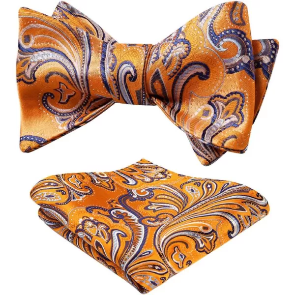 HISDERN Bow Ties for Men Paisley Bowties Mens Self Tie Bow Tie and Pocket Square Set Formal Tuxedo Wedding Bowtie