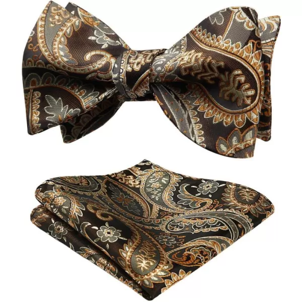 HISDERN Bow Ties for Men Paisley Bowties Mens Self Tie Bow Tie and Pocket Square Set Formal Tuxedo Wedding Bowtie