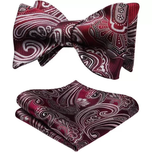 HISDERN Bow Ties for Men Paisley Bowties Mens Self Tie Bow Tie and Pocket Square Set Formal Tuxedo Wedding Bowtie