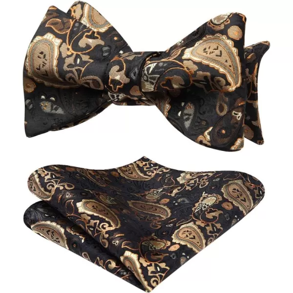 HISDERN Bow Ties for Men Paisley Bowties Mens Self Tie Bow Tie and Pocket Square Set Formal Tuxedo Wedding Bowtie