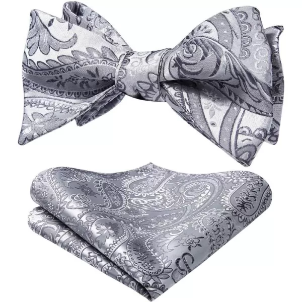 HISDERN Bow Ties for Men Paisley Bowties Mens Self Tie Bow Tie and Pocket Square Set Formal Tuxedo Wedding Bowtie