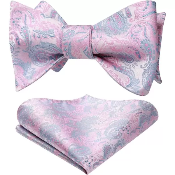 HISDERN Bow Ties for Men Paisley Bowties Mens Self Tie Bow Tie and Pocket Square Set Formal Tuxedo Wedding Bowtie