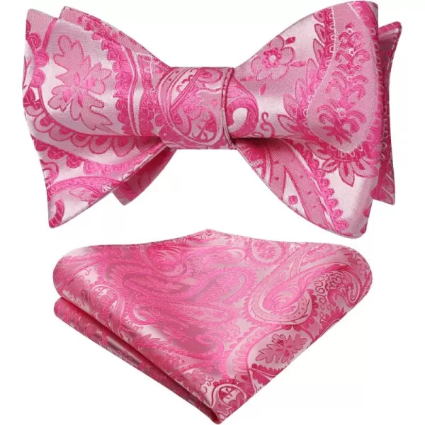 HISDERN Bow Ties for Men Paisley Bowties Mens Self Tie Bow Tie and Pocket Square Set Formal Tuxedo Wedding Bowtie
