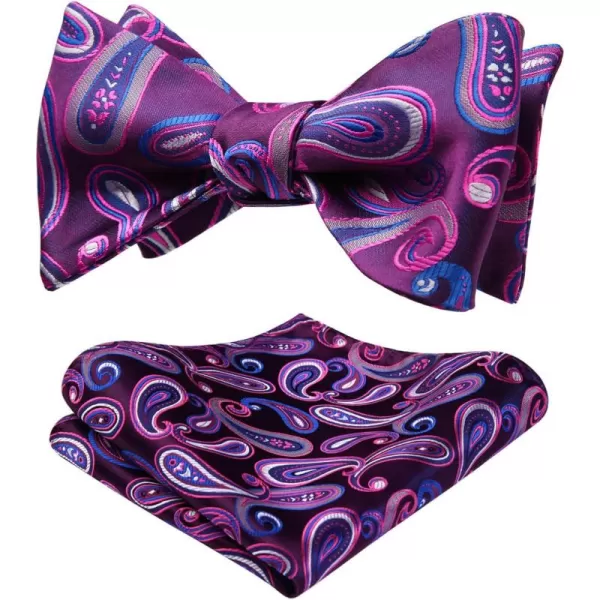 HISDERN Bow Ties for Men Paisley Bowties Mens Self Tie Bow Tie and Pocket Square Set Formal Tuxedo Wedding Bowtie