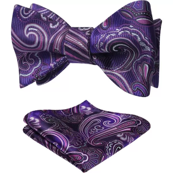 HISDERN Bow Ties for Men Paisley Bowties Mens Self Tie Bow Tie and Pocket Square Set Formal Tuxedo Wedding Bowtie