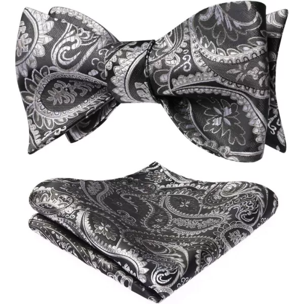 HISDERN Bow Ties for Men Paisley Bowties Mens Self Tie Bow Tie and Pocket Square Set Formal Tuxedo Wedding Bowtie