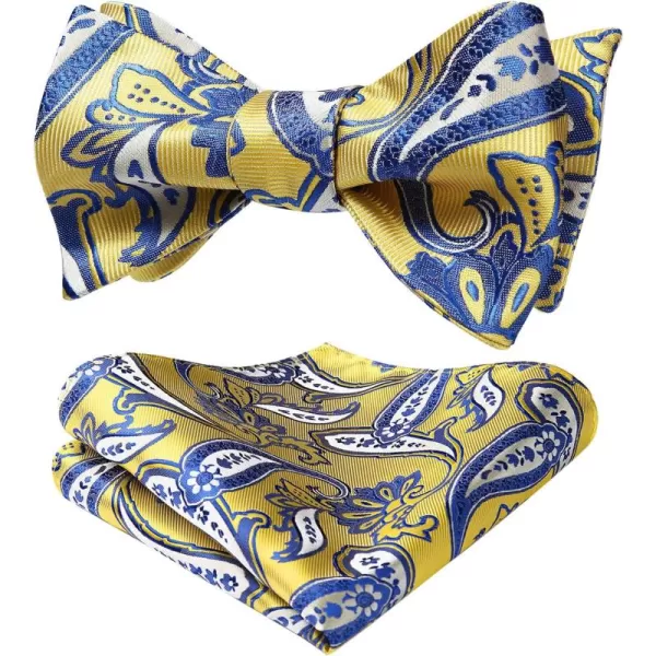 HISDERN Bow Ties for Men Paisley Bowties Mens Self Tie Bow Tie and Pocket Square Set Formal Tuxedo Wedding Bowtie