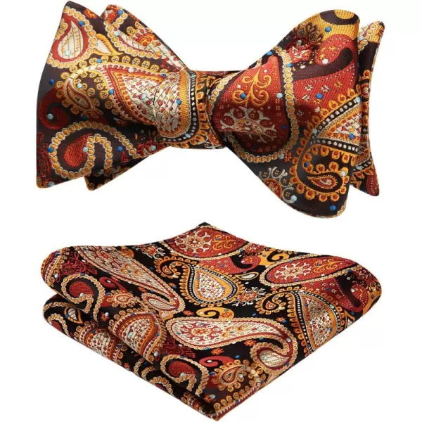 HISDERN Bow Ties for Men Paisley Bowties Mens Self Tie Bow Tie and Pocket Square Set Formal Tuxedo Wedding Bowtie