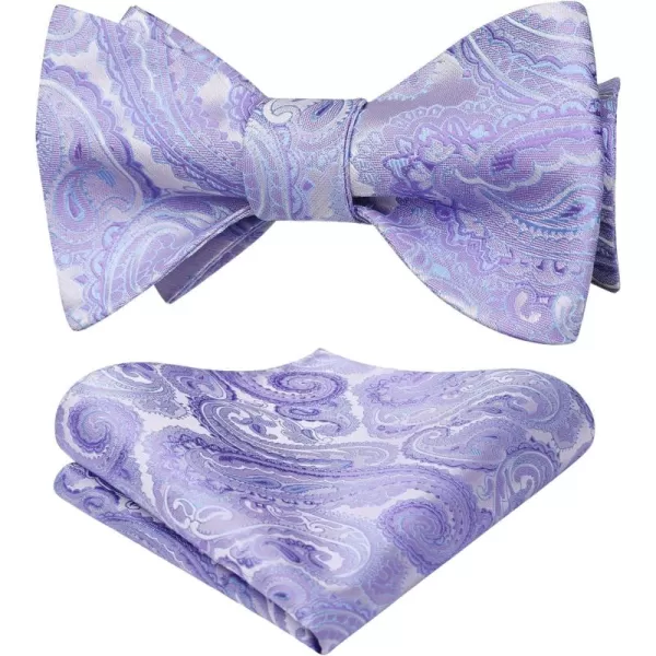 HISDERN Bow Ties for Men Paisley Bowties Mens Self Tie Bow Tie and Pocket Square Set Formal Tuxedo Wedding Bowtie