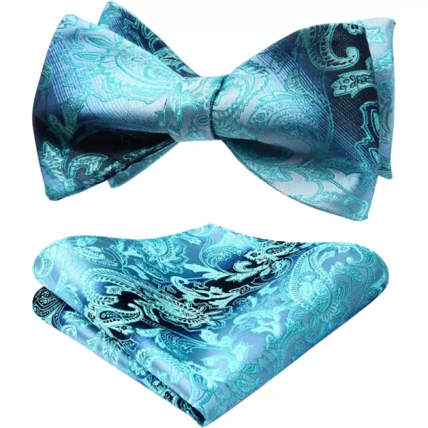HISDERN Bow Ties for Men Paisley Bowties Mens Self Tie Bow Tie and Pocket Square Set Formal Tuxedo Wedding Bowtie