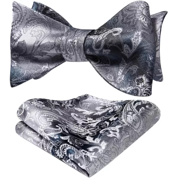 HISDERN Bow Ties for Men Paisley Bowties Mens Self Tie Bow Tie and Pocket Square Set Formal Tuxedo Wedding Bowtie