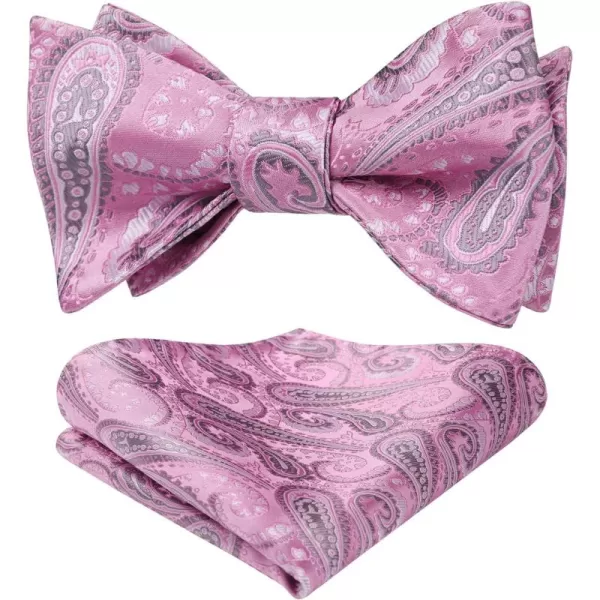 HISDERN Bow Ties for Men Paisley Bowties Mens Self Tie Bow Tie and Pocket Square Set Formal Tuxedo Wedding Bowtie