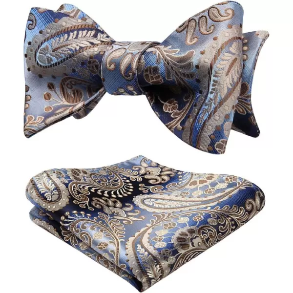 HISDERN Bow Ties for Men Paisley Bowties Mens Self Tie Bow Tie and Pocket Square Set Formal Tuxedo Wedding Bowtie