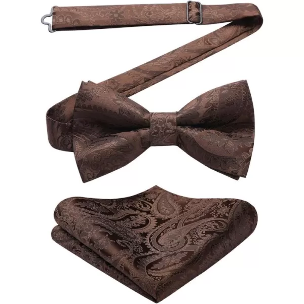 HISDERN Bow Ties for Men Paisley Floral Pre-tied Bowtie Pocket Square Set Men's Formal Bow Ties Wedding Party…